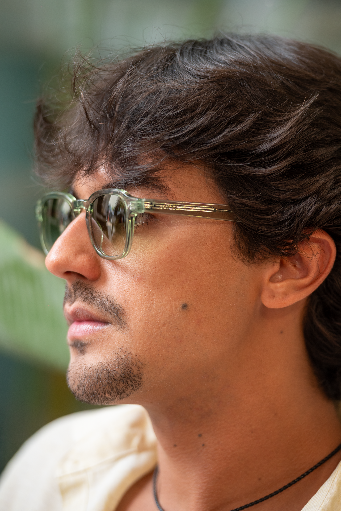 King Fresh Green Sun