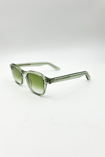 King Fresh Green Sun